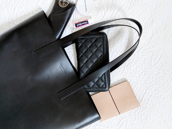 everlane day square tote review