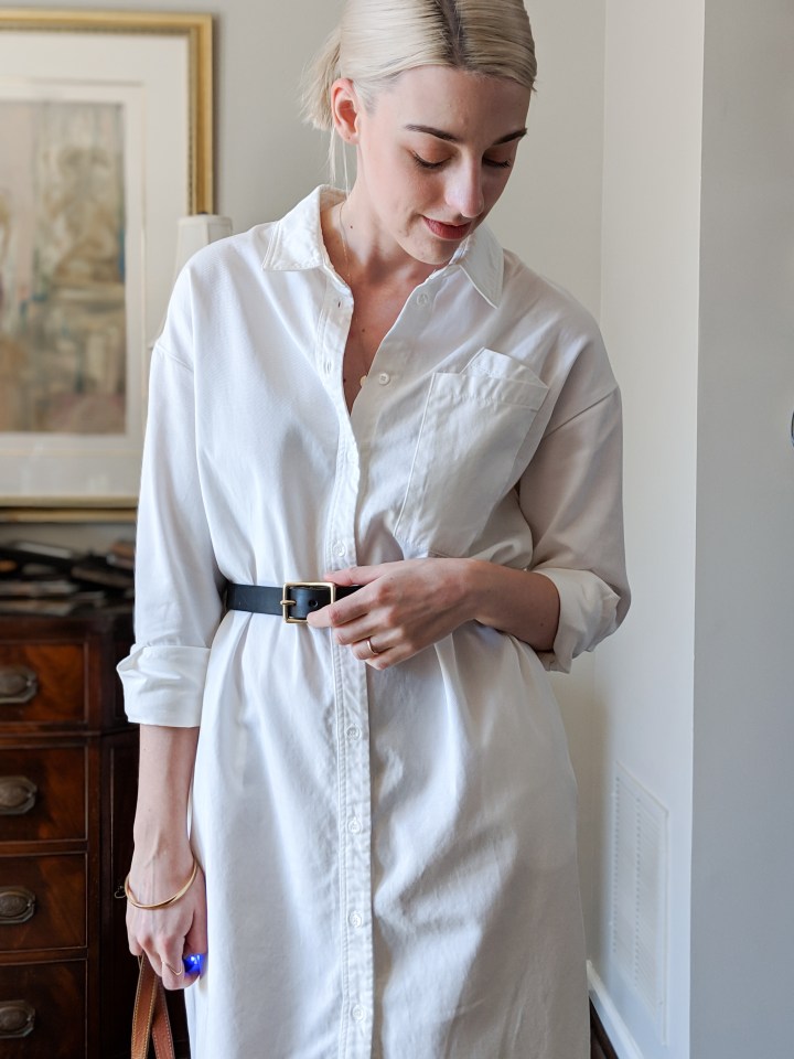 skye shirt dress