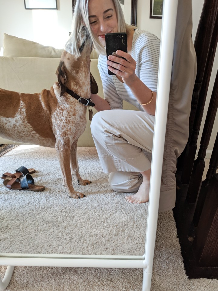 goblin shark with dog