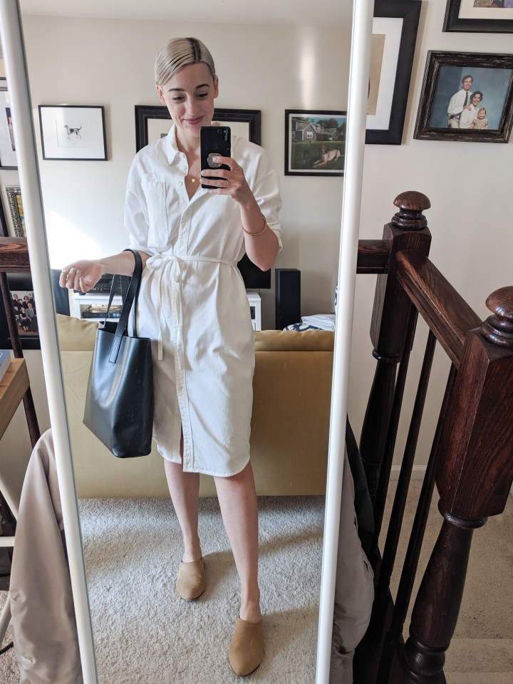 everlane day square tote